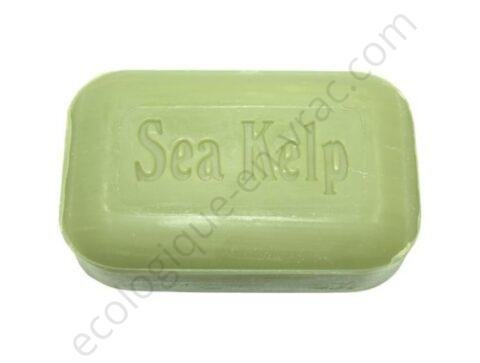 2Savon algue marine 110g soap works