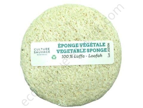 Disque eponge vegetale luffa culture sauvage2