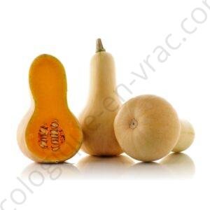 COURGE PONCA BABY BUTTERNUT