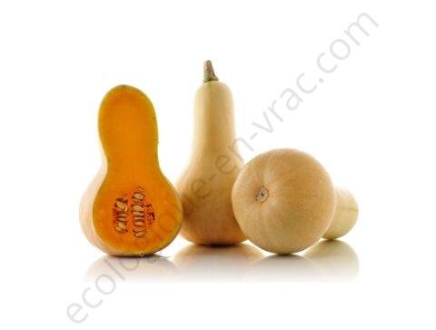 COURGE PONCA BABY BUTTERNUT