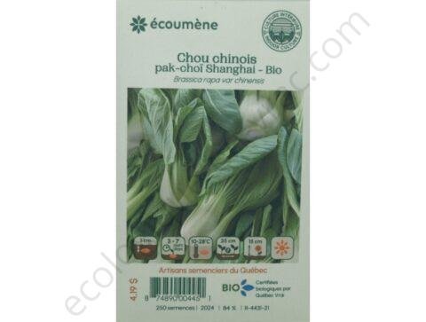 Chou chinois pak choi shangai bio 250 semences les jardins de lecoumene