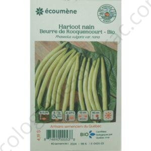 Haricot nain beurre de rocquencourt bio 40 semences les jardins de lecoumene