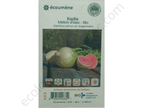 Radis melon deau bio 150 semences les jardins de lecoumene