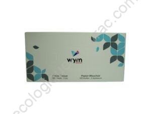 BOITE 100 MOUCHOIRS EN PAPIER 2 PLIS