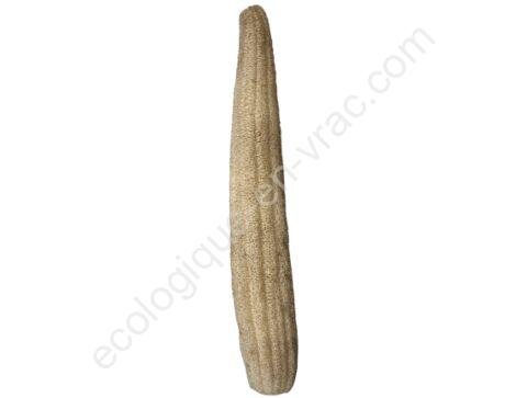 Grande Luffa 1 ecologique en vrac