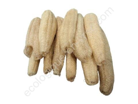 Grande Luffa 2 ecologique en vrac