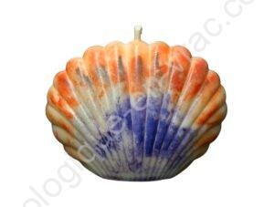 BOUGIE ARTISANALE COQUILLAGE SANS PARFUM