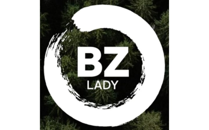 Blog bzlady_image2